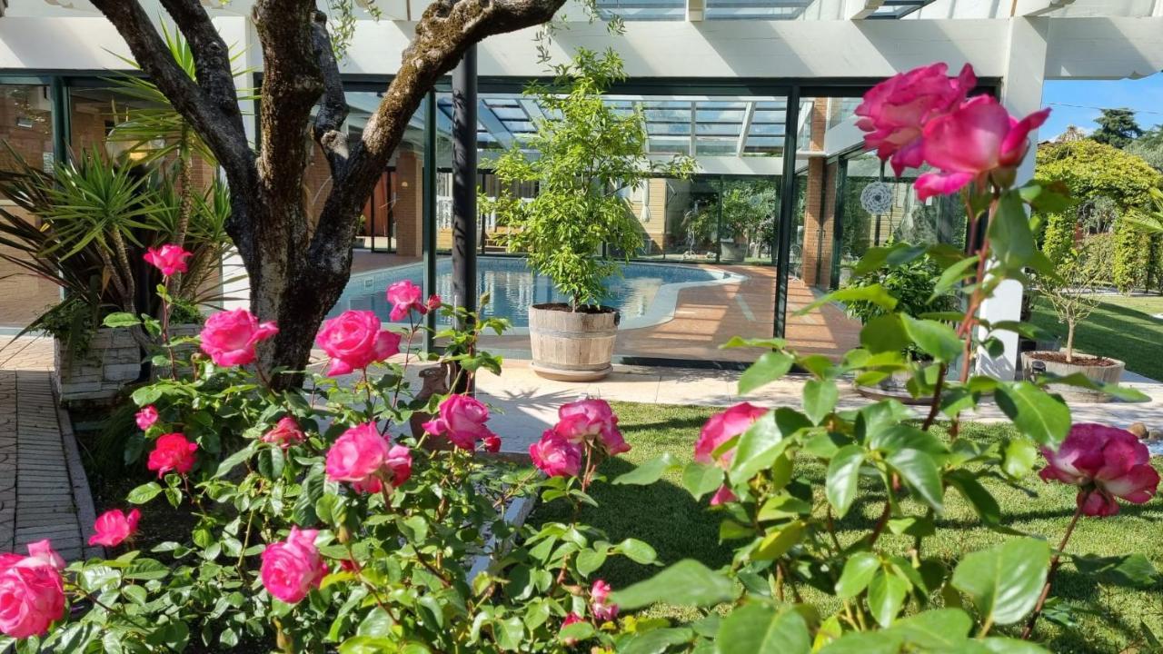 Fontana Oasis Apartments Castelnuovo del Garda Exteriér fotografie
